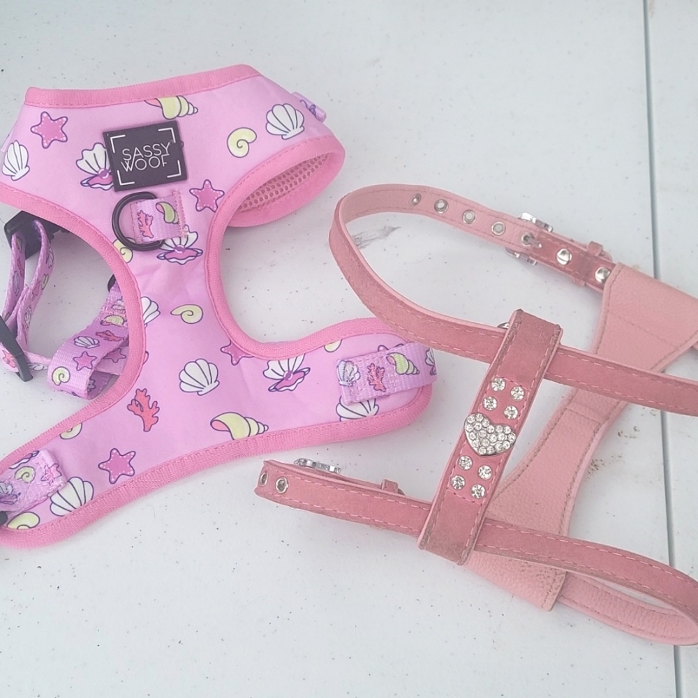 2 dog harnesses